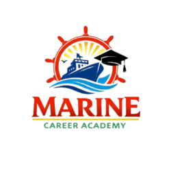 logo removebg preview